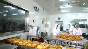 佛山食品車(chē)間裝修指南 烘焙食品廠與飲料廠凈化車(chē)間的高標(biāo)準(zhǔn)設(shè)計(jì)解析